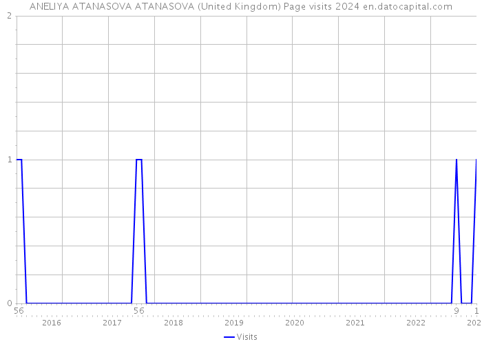 ANELIYA ATANASOVA ATANASOVA (United Kingdom) Page visits 2024 