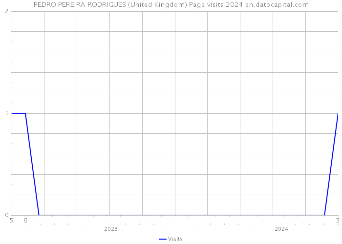 PEDRO PEREIRA RODRIGUES (United Kingdom) Page visits 2024 