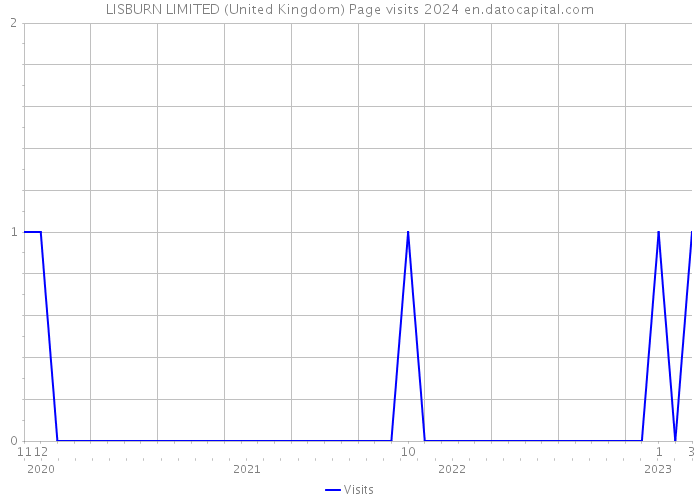 LISBURN LIMITED (United Kingdom) Page visits 2024 