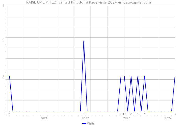 RAISE UP LIMITED (United Kingdom) Page visits 2024 