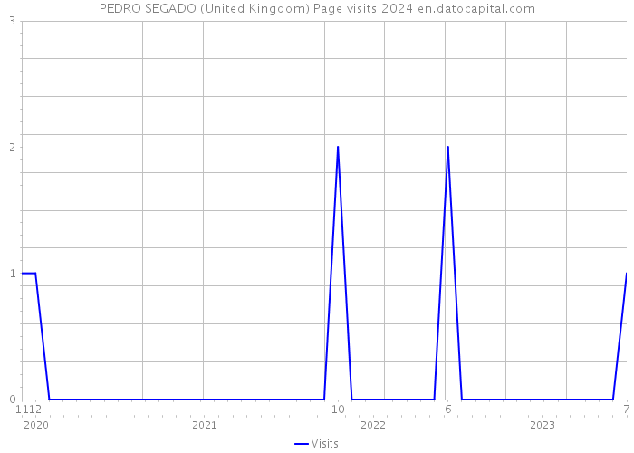 PEDRO SEGADO (United Kingdom) Page visits 2024 