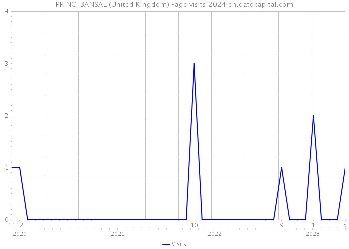 PRINCI BANSAL (United Kingdom) Page visits 2024 