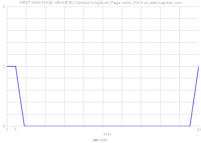FIRST NON FOOD GROUP BV (United Kingdom) Page visits 2024 