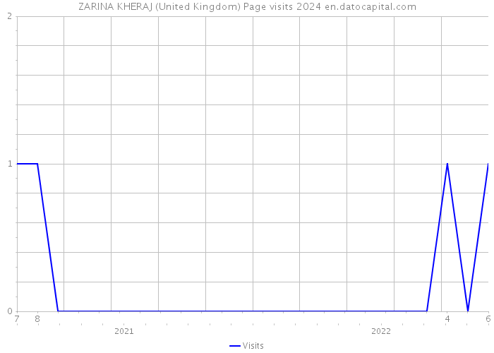 ZARINA KHERAJ (United Kingdom) Page visits 2024 