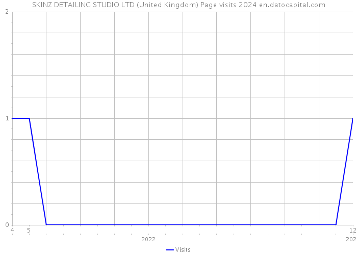 SKINZ DETAILING STUDIO LTD (United Kingdom) Page visits 2024 