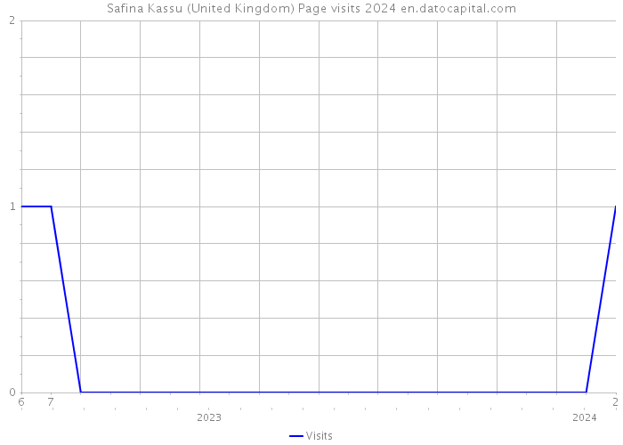 Safina Kassu (United Kingdom) Page visits 2024 
