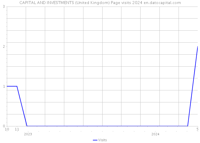 CAPITAL AND INVESTMENTS (United Kingdom) Page visits 2024 
