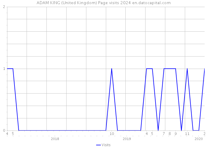 ADAM KING (United Kingdom) Page visits 2024 