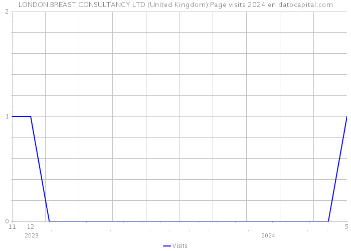 LONDON BREAST CONSULTANCY LTD (United Kingdom) Page visits 2024 