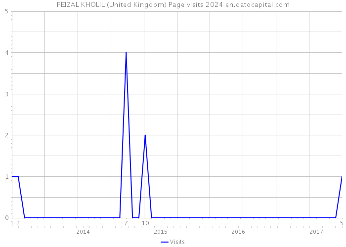 FEIZAL KHOLIL (United Kingdom) Page visits 2024 