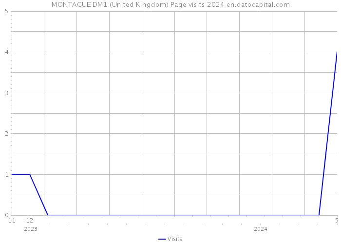 MONTAGUE DM1 (United Kingdom) Page visits 2024 
