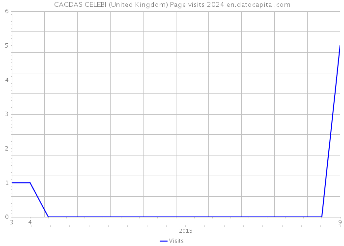 CAGDAS CELEBI (United Kingdom) Page visits 2024 