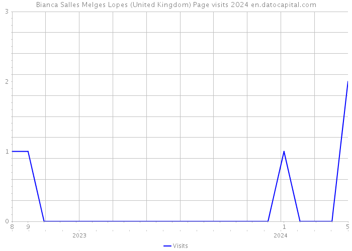 Bianca Salles Melges Lopes (United Kingdom) Page visits 2024 