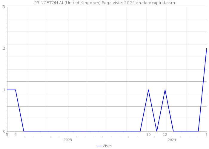 PRINCETON AI (United Kingdom) Page visits 2024 