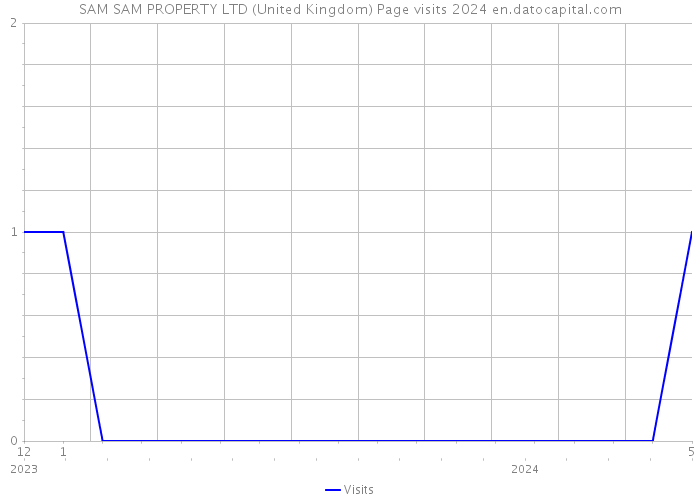 SAM SAM PROPERTY LTD (United Kingdom) Page visits 2024 