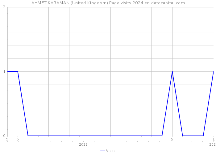 AHMET KARAMAN (United Kingdom) Page visits 2024 