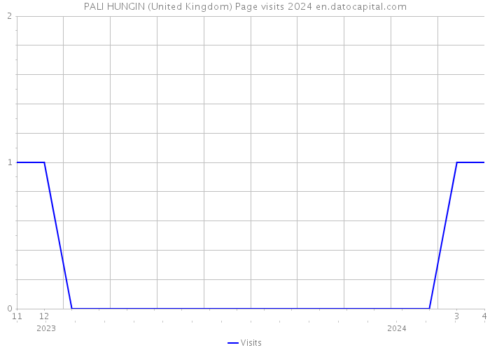 PALI HUNGIN (United Kingdom) Page visits 2024 