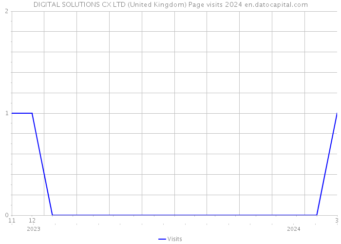 DIGITAL SOLUTIONS CX LTD (United Kingdom) Page visits 2024 