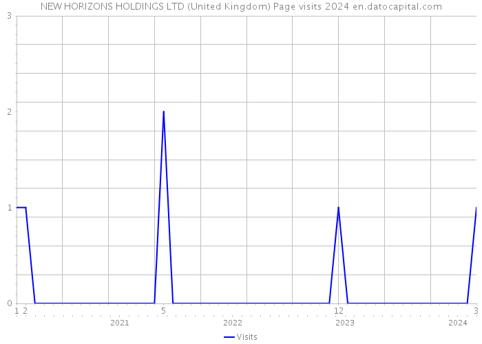 NEW HORIZONS HOLDINGS LTD (United Kingdom) Page visits 2024 