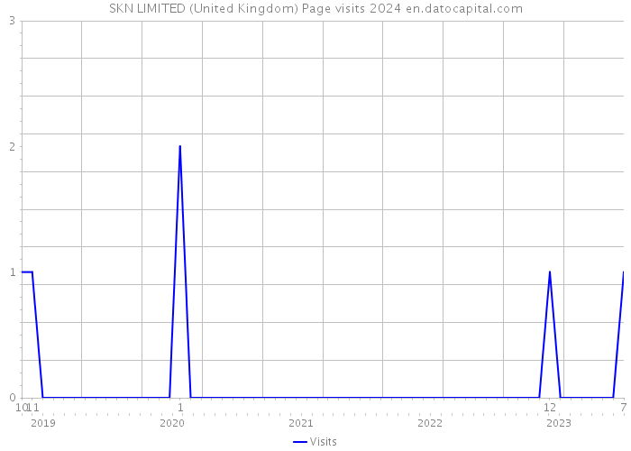SKN LIMITED (United Kingdom) Page visits 2024 
