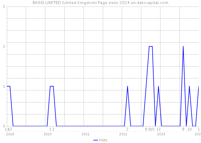 BAINS LIMITED (United Kingdom) Page visits 2024 