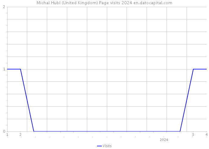 Michal Hubl (United Kingdom) Page visits 2024 