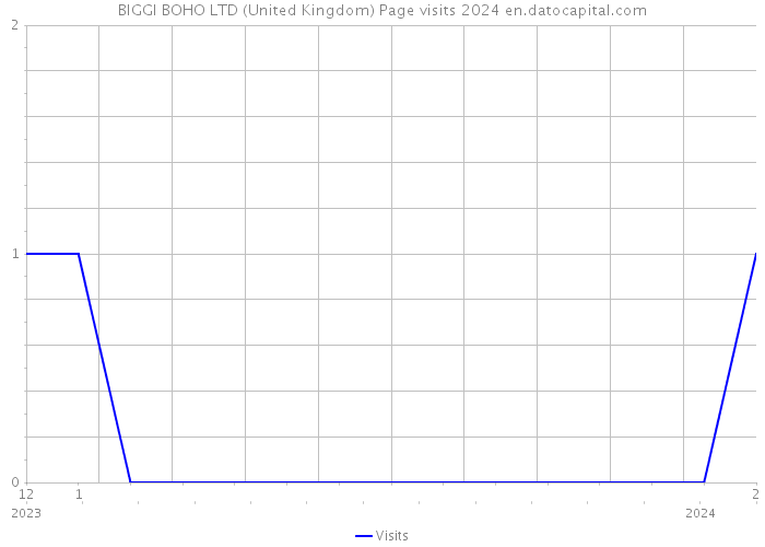BIGGI BOHO LTD (United Kingdom) Page visits 2024 