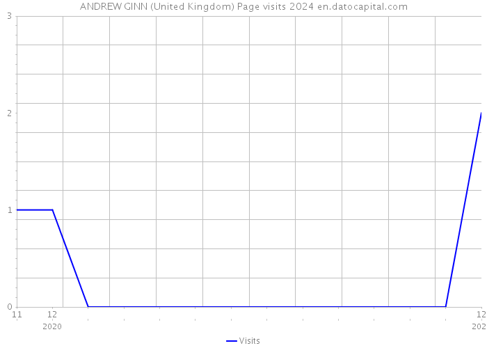 ANDREW GINN (United Kingdom) Page visits 2024 