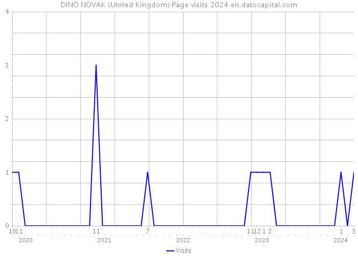 DINO NOVAK (United Kingdom) Page visits 2024 