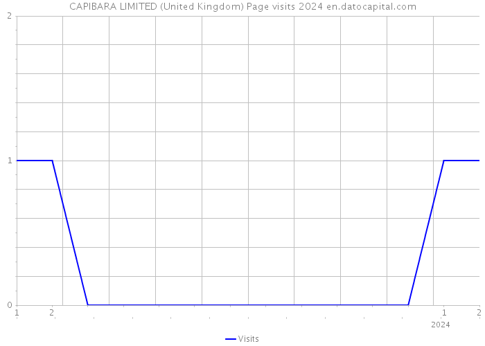 CAPIBARA LIMITED (United Kingdom) Page visits 2024 