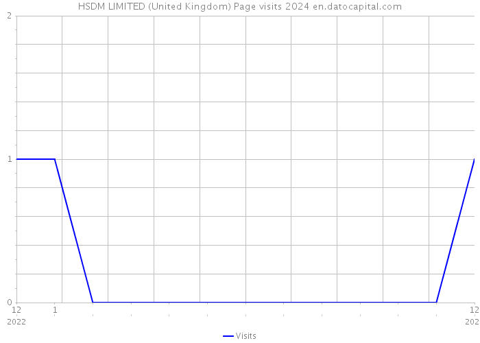 HSDM LIMITED (United Kingdom) Page visits 2024 