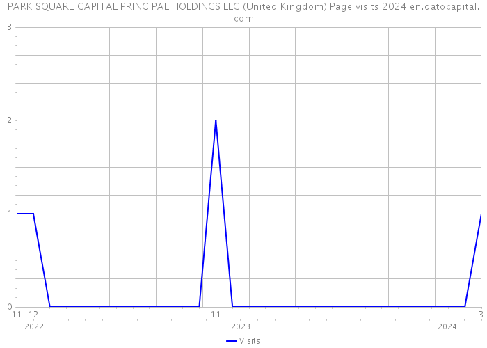 PARK SQUARE CAPITAL PRINCIPAL HOLDINGS LLC (United Kingdom) Page visits 2024 