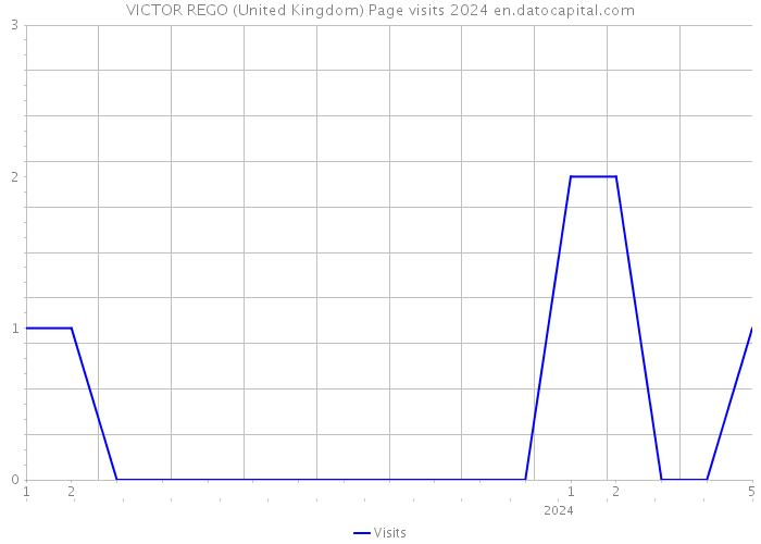 VICTOR REGO (United Kingdom) Page visits 2024 