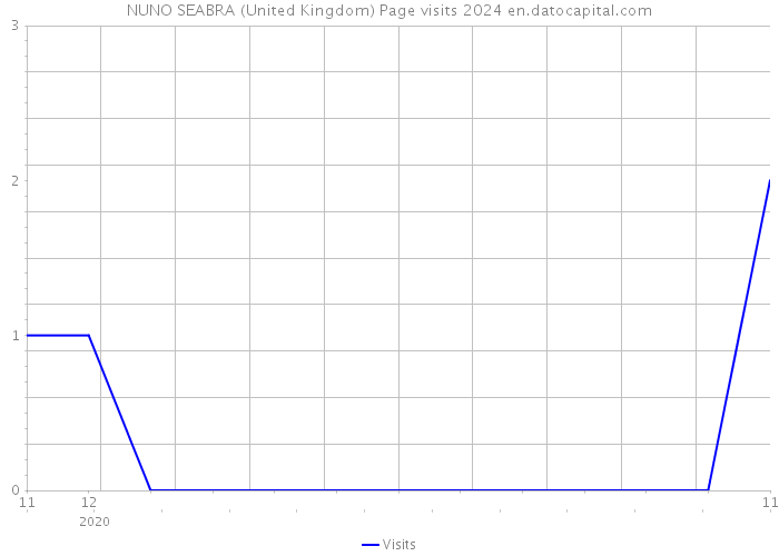 NUNO SEABRA (United Kingdom) Page visits 2024 