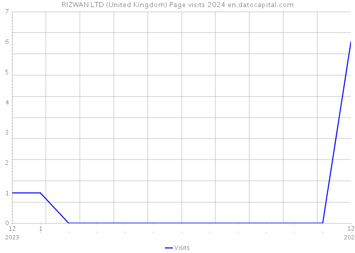 RIZWAN LTD (United Kingdom) Page visits 2024 