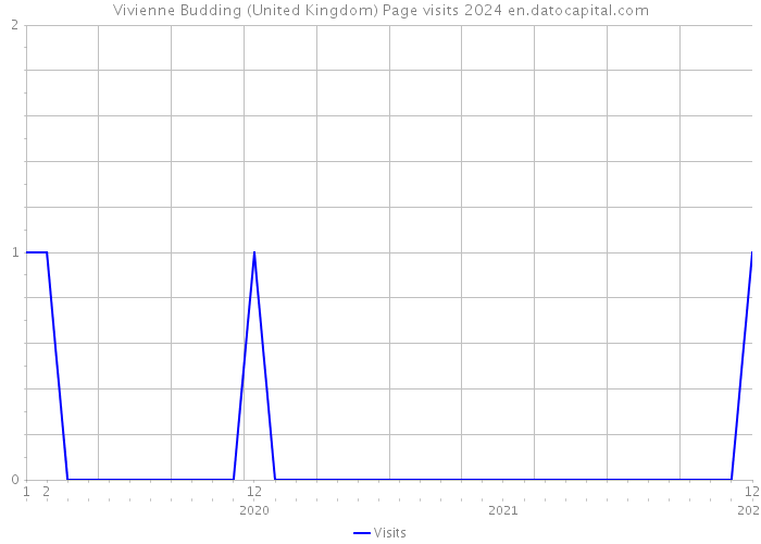 Vivienne Budding (United Kingdom) Page visits 2024 