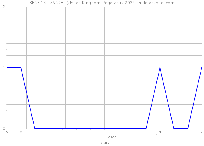 BENEDIKT ZANKEL (United Kingdom) Page visits 2024 