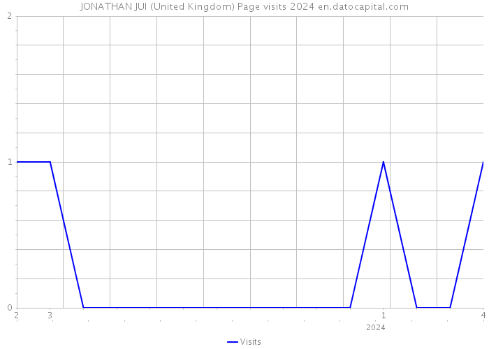 JONATHAN JUI (United Kingdom) Page visits 2024 
