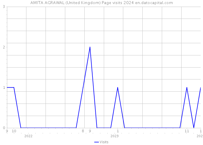 AMITA AGRAWAL (United Kingdom) Page visits 2024 