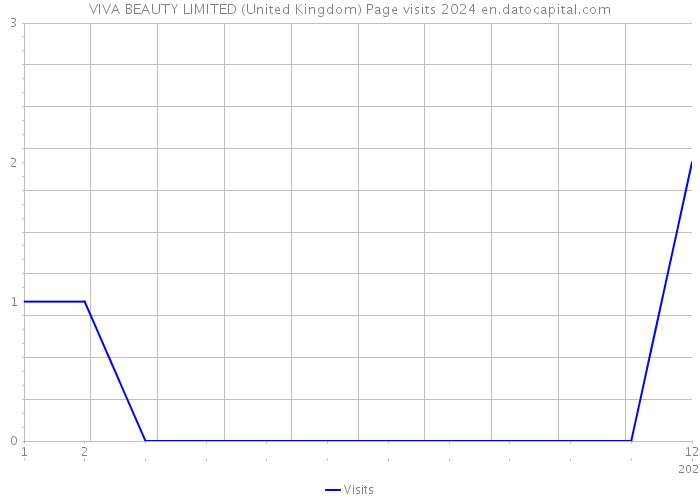 VIVA BEAUTY LIMITED (United Kingdom) Page visits 2024 