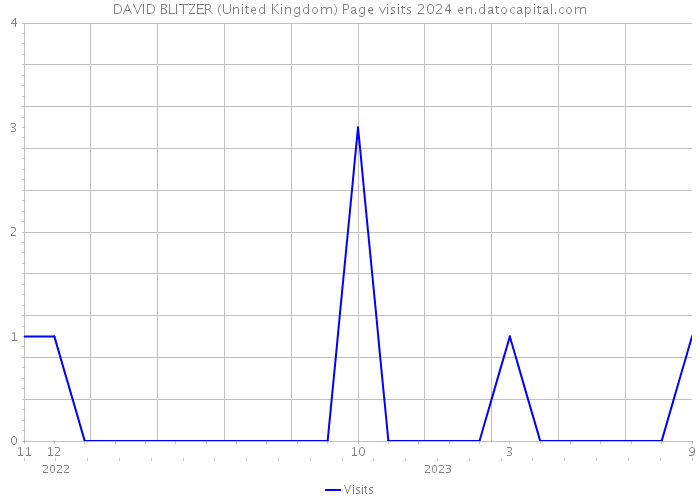 DAVID BLITZER (United Kingdom) Page visits 2024 