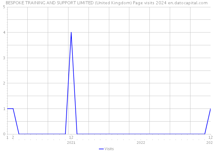 BESPOKE TRAINING AND SUPPORT LIMITED (United Kingdom) Page visits 2024 