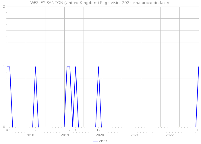 WESLEY BANTON (United Kingdom) Page visits 2024 