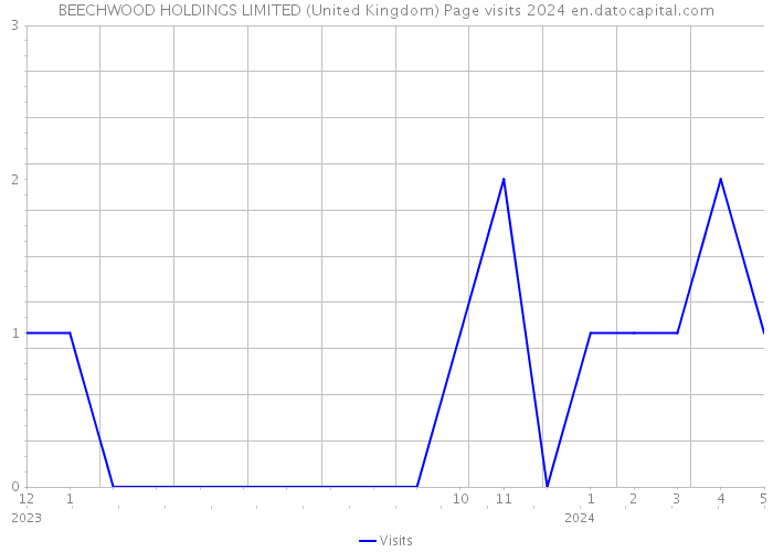 BEECHWOOD HOLDINGS LIMITED (United Kingdom) Page visits 2024 