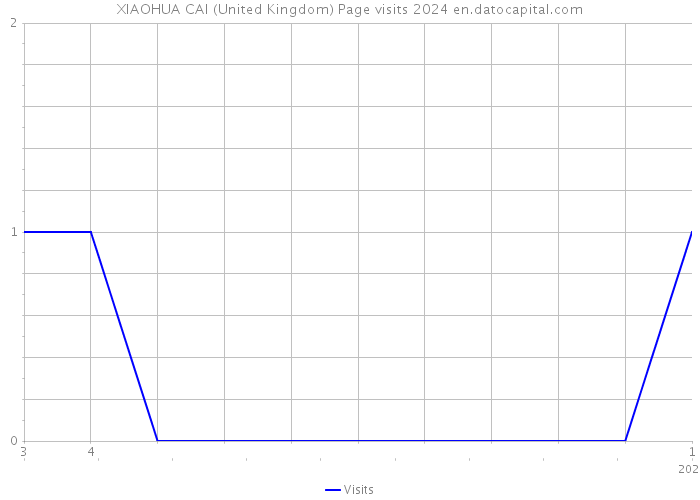XIAOHUA CAI (United Kingdom) Page visits 2024 