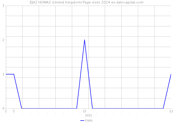EJAZ NOWAZ (United Kingdom) Page visits 2024 