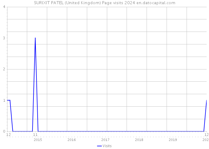 SURIXIT PATEL (United Kingdom) Page visits 2024 