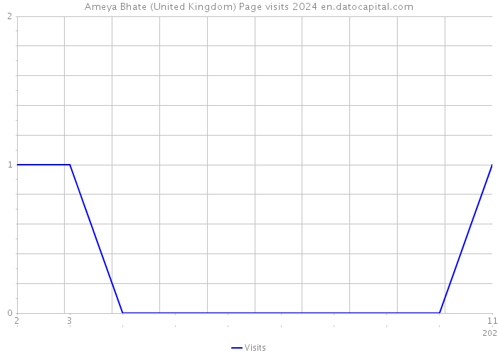 Ameya Bhate (United Kingdom) Page visits 2024 