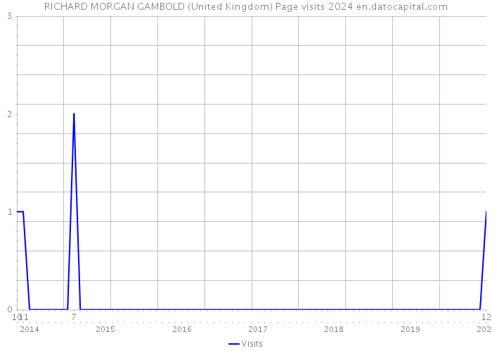 RICHARD MORGAN GAMBOLD (United Kingdom) Page visits 2024 