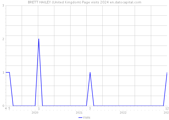 BRETT HAILEY (United Kingdom) Page visits 2024 